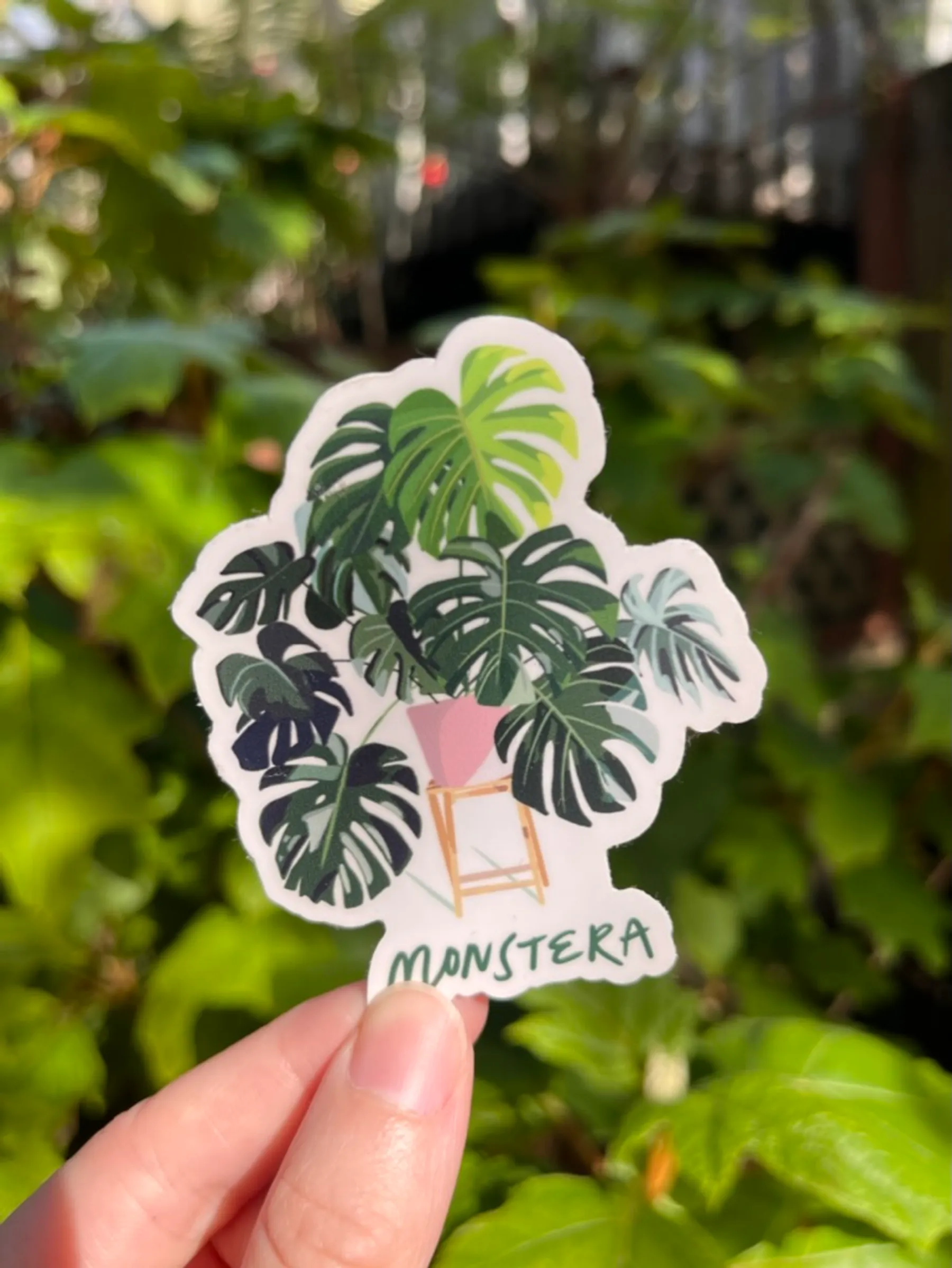 Monstera Sticker